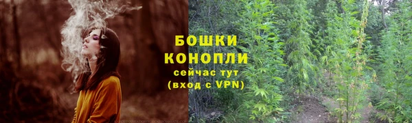метамфетамин Белокуриха
